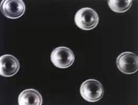 1638856454108098.jpg 1.jpg