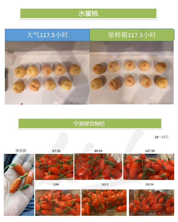 1639039287103567.jpg 鄰得膜生鮮果蔬自發(fā)氣調(diào)保鮮包裝技術(shù)詳情換成這個_04.jpg