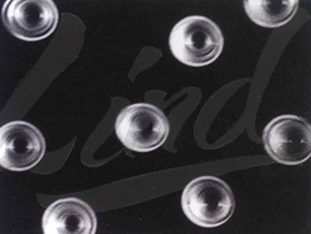 聚焦膜科技創新應用，「鄰得膜醫療」拓展膀胱癌早篩產品