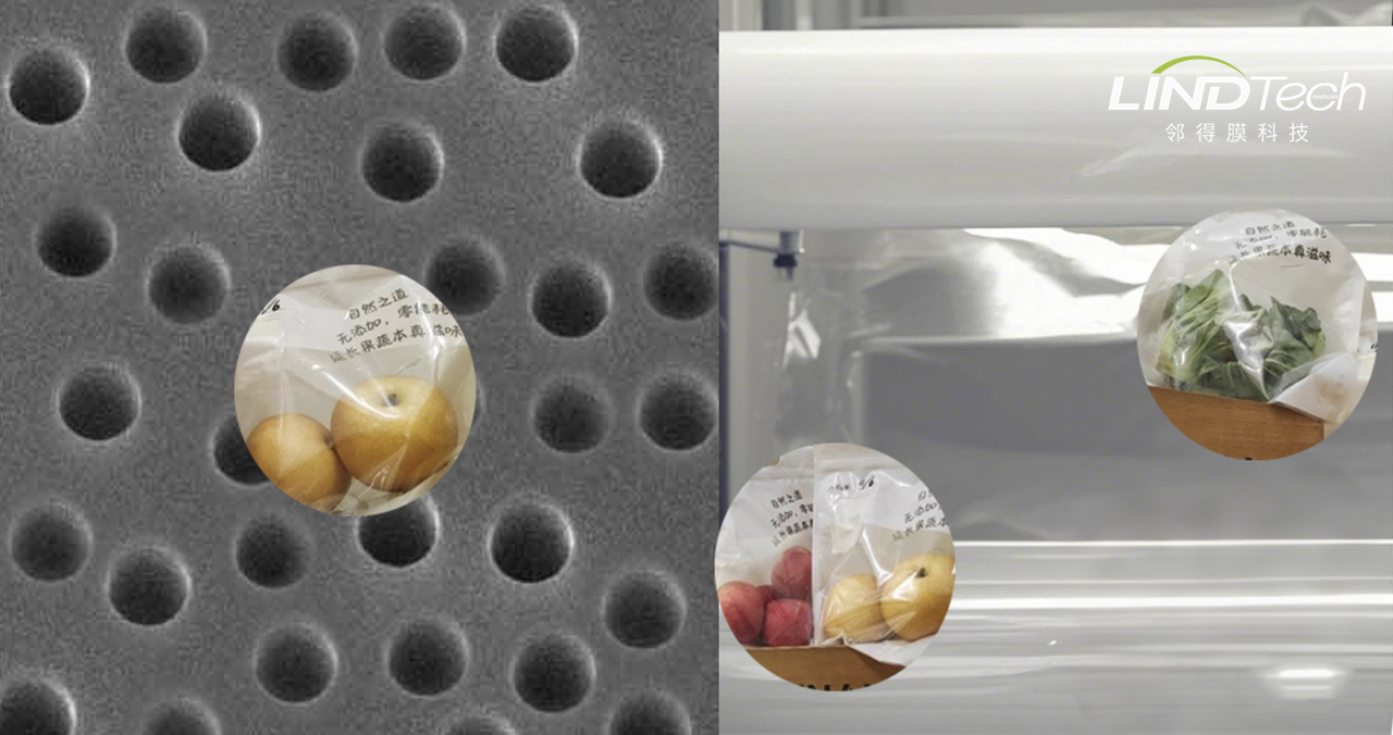 核孔膜在常溫物理與自發(fā)氣調(diào)保鮮中的應(yīng)用探索